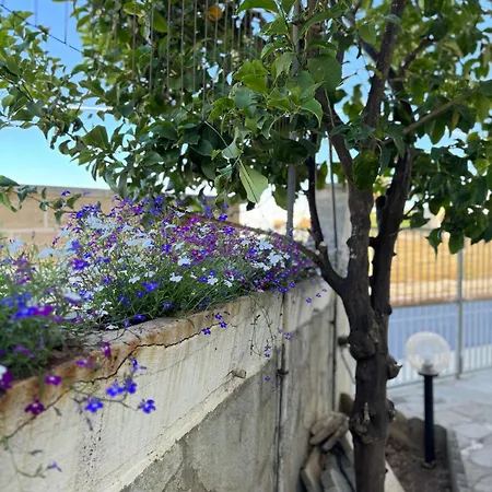 Frida's Appartamento