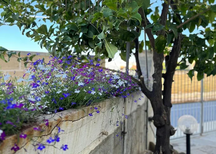 Frida's Appartamento